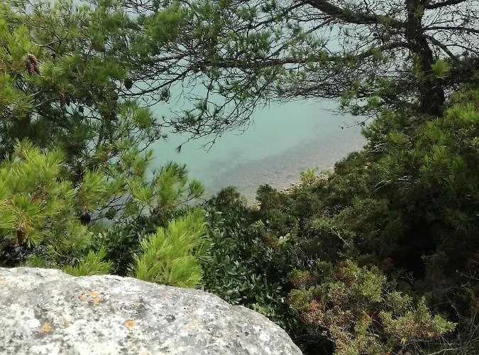 Casa Do Facho * ساو مارتينهو دو بورتو