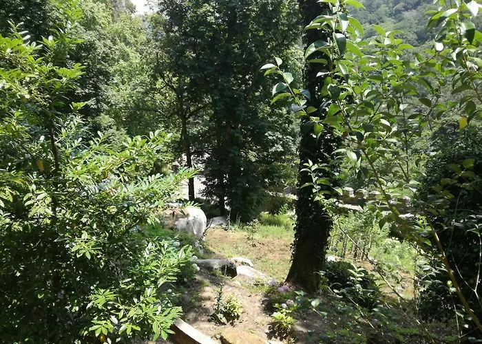 Casa Do Facho بيت للعطل ساو مارتينهو دو بورتو